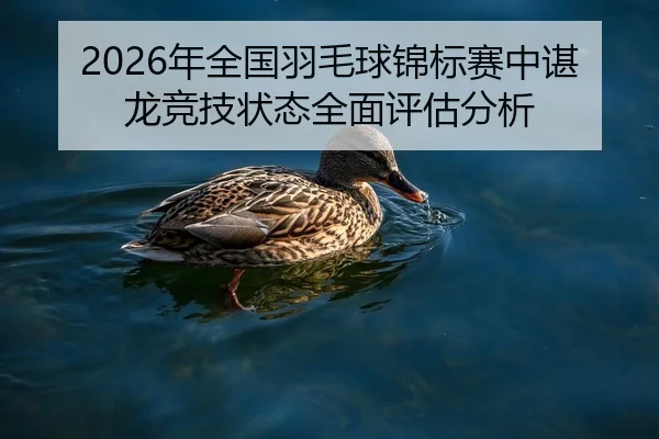 nian-quan-guo-yu-mao-qiu-jin-biao-sai-zhong-chen-long-jing-ji-zhuang-tai-quan-mian-ping-gu-fen-xi-1-371.jpg